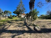 Quinta T4 - Castelo (Sesimbra), Sesimbra, Setbal - Miniatura: 9/9