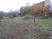 Terreno Rstico - Cardigos, Mao, Santarm - Miniatura: 9/9
