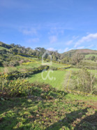 Terreno R�stico T0 - Vila de S�o Sebasti�o, Angra do Heroismo, Ilha Terceira
