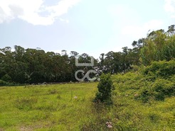 Terreno R�stico T0 - Fonte do Bastardo, Praia da Vit�ria, Ilha Terceira - Miniatura: 1/11