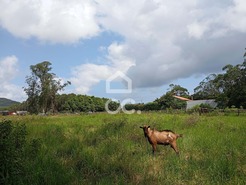 Terreno R�stico T0 - Fonte do Bastardo, Praia da Vit�ria, Ilha Terceira - Miniatura: 3/11