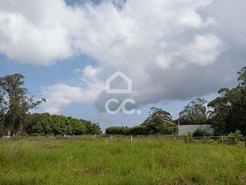 Terreno R�stico T0 - Fonte do Bastardo, Praia da Vit�ria, Ilha Terceira - Miniatura: 5/11