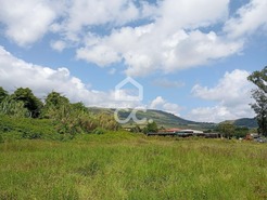 Terreno R�stico T0 - Fonte do Bastardo, Praia da Vit�ria, Ilha Terceira - Miniatura: 6/11