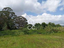 Terreno R�stico T0 - Fonte do Bastardo, Praia da Vit�ria, Ilha Terceira - Miniatura: 7/11