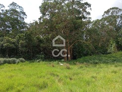 Terreno R�stico T0 - Fonte do Bastardo, Praia da Vit�ria, Ilha Terceira - Miniatura: 8/11