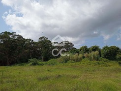 Terreno R�stico T0 - Fonte do Bastardo, Praia da Vit�ria, Ilha Terceira - Miniatura: 9/11