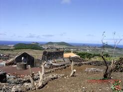 Moradia T0 - Guadalupe, Santa Cruz da Graciosa, Ilha Graciosa - Miniatura: 1/12