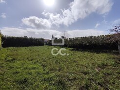 Armaz�m T0 - Lajes, Seia, Guarda - Miniatura: 11/19