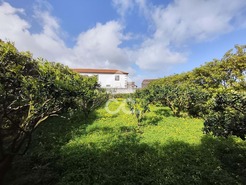 Armaz�m T0 - Lajes, Seia, Guarda - Miniatura: 12/19