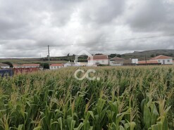 Terreno R�stico T0 - Vila de S�o Sebasti�o, Angra do Heroismo, Ilha Terceira - Miniatura: 4/7