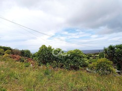 Ruina T0 - Biscoitos, Praia da Vit�ria, Ilha Terceira - Miniatura: 6/14
