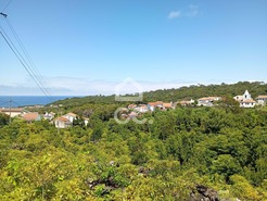 Terreno R�stico T0 - Biscoitos, Praia da Vit�ria, Ilha Terceira - Miniatura: 2/6