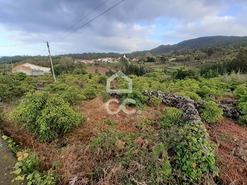 Terreno R�stico T0 - Biscoitos, Praia da Vit�ria, Ilha Terceira - Miniatura: 6/6