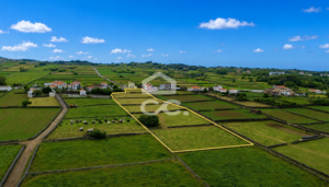 Terreno R�stico T0 - Cinco Ribeiras, Angra do Heroismo, Ilha Terceira - Miniatura: 3/14