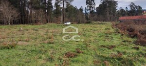 Terreno R�stico T0 - Bustelo, Penafiel, Porto