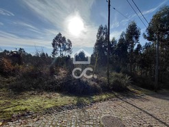 Terreno R�stico T0 - Cristelos, Lousada, Porto