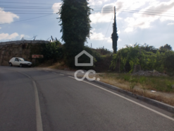 Terreno R�stico T0 - Aveleda, Lousada, Porto - Miniatura: 1/6