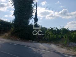 Terreno R�stico T0 - Aveleda, Lousada, Porto - Miniatura: 2/6