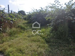 Terreno R�stico T0 - Aveleda, Lousada, Porto - Miniatura: 4/6