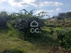 Terreno R�stico T0 - Aveleda, Lousada, Porto - Miniatura: 5/6