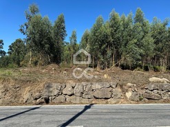Terreno R�stico T0 - Nespereira, Lousada, Porto - Miniatura: 1/17