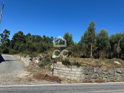 Terreno R�stico T0 - Nespereira, Lousada, Porto - Miniatura: 2/17