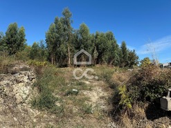 Terreno R�stico T0 - Nespereira, Lousada, Porto - Miniatura: 8/17
