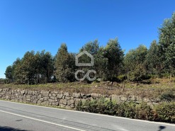 Terreno R�stico T0 - Nespereira, Lousada, Porto - Miniatura: 12/17