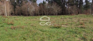 Terreno R�stico T0 - Bustelo, Penafiel, Porto - Miniatura: 1/9