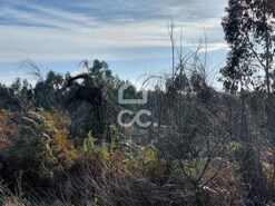 Terreno R�stico T0 - Cristelos, Lousada, Porto - Miniatura: 4/16