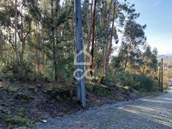 Terreno R�stico T0 - Cristelos, Lousada, Porto - Miniatura: 6/16