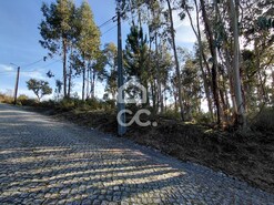 Terreno R�stico T0 - Cristelos, Lousada, Porto - Miniatura: 7/16