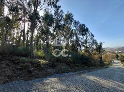 Terreno R�stico T0 - Cristelos, Lousada, Porto - Miniatura: 8/16