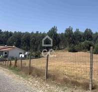 Terreno R�stico T0 - TERMAS DE S�O VICENTE, Penafiel, Porto