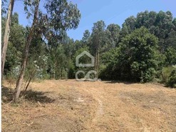 Terreno R�stico T0 - TERMAS DE S�O VICENTE, Penafiel, Porto - Miniatura: 1/2