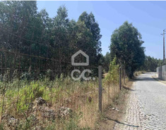 Terreno R�stico T0 - TERMAS DE S�O VICENTE, Penafiel, Porto - Miniatura: 2/2