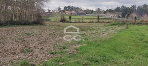 Terreno R�stico T0 - Bustelo, Penafiel, Porto - Miniatura: 15/16