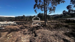Terreno R�stico T0 - Recarei, Paredes, Porto - Miniatura: 4/10