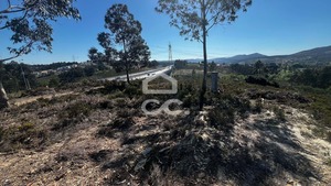 Terreno R�stico T0 - Recarei, Paredes, Porto - Miniatura: 7/10