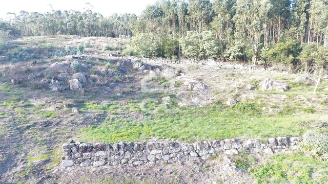 Terreno R�stico T0 - Baltar, Paredes, Porto - Imagem grande
