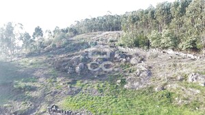 Terreno R�stico T0 - Baltar, Paredes, Porto - Miniatura: 2/14