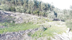 Terreno R�stico T0 - Baltar, Paredes, Porto - Miniatura: 6/14