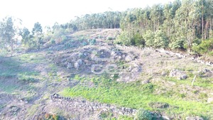 Terreno R�stico T0 - Baltar, Paredes, Porto - Miniatura: 11/14