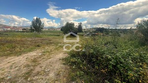 Terreno R�stico T0 - Beire, Paredes, Porto - Miniatura: 2/6