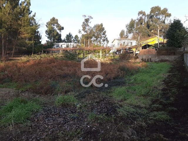 Terreno R�stico T0 - Guilhufe, Penafiel, Porto - Imagem grande