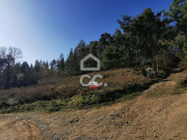 Terreno R�stico T0 - Id�es, Felgueiras, Porto - Imagem grande