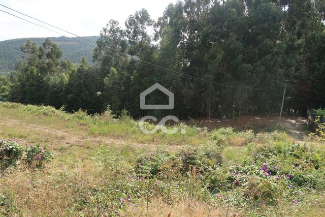 Terreno R�stico T0 - Id�es, Felgueiras, Porto - Imagem grande