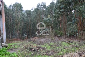 Terreno R�stico T0 - Lagares, Penafiel, Porto