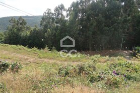 Terreno R�stico T0 - Id�es, Felgueiras, Porto