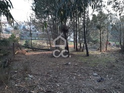Terreno R�stico T0 - Guilhufe, Penafiel, Porto - Miniatura: 4/6